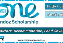 OYW Sandoz Scholarship South Africa