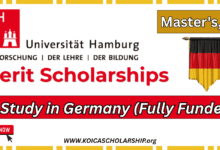 University of Hamburg Merit Scholarship