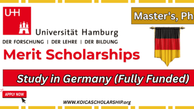 University of Hamburg Merit Scholarship