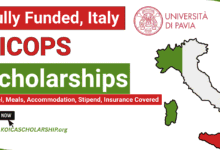 CICOPS Scholarships Program Italy | University of Pavia