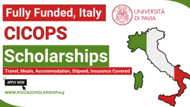 CICOPS Scholarships Program Italy | University of Pavia