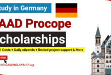 DAAD Procope Scholarship