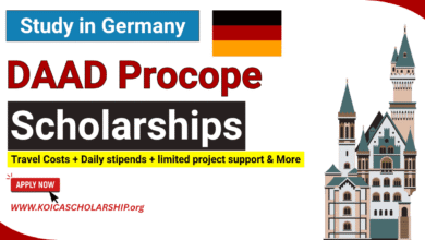 DAAD Procope Scholarship