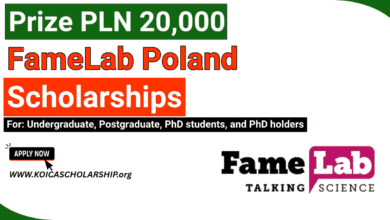 FameLab Poland Scholarship