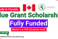 IGAD Blue Grant Scholarship