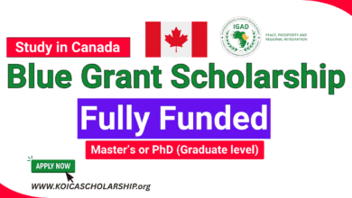 IGAD Blue Grant Scholarship