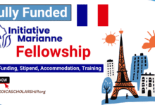 Marianne Initiative Fellowship