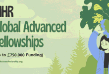 NIHR Global Advanced Fellowships