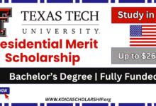 Texas Tech University Presidential Merit Scholarship