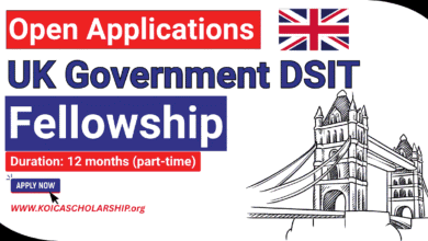 UK Government DSIT Fellowship