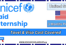 UNICEF Internship in USA