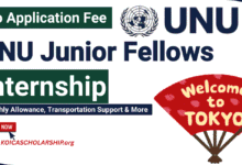 UNU Junior Fellows Internship