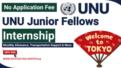 UNU Junior Fellows Internship