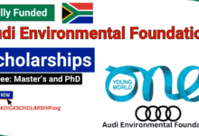 Audi Environmental Foundation Scholarships