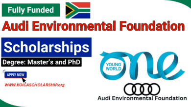 Audi Environmental Foundation Scholarships