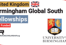 Birmingham Global South Fellowship