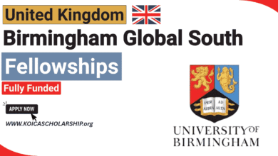 Birmingham Global South Fellowship