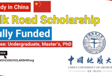 China University of Geosciences Silk Road Scholarship