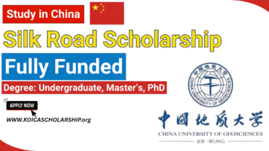 China University of Geosciences Silk Road Scholarship