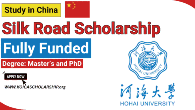 Hohai University Silk Road Scholarship