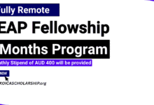 SEAP Fellowship