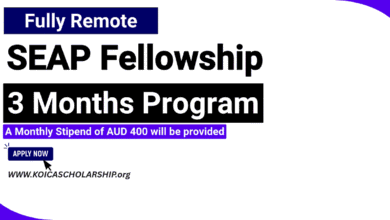 SEAP Fellowship