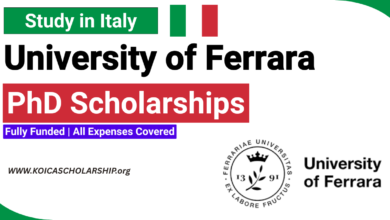 University of Ferrara PhD Scholarships