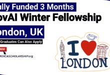 GovAI Winter Fellowship